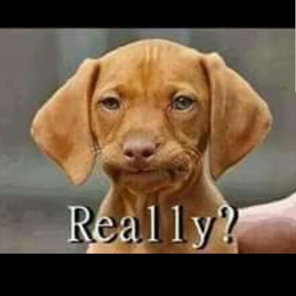 Meet your Posher, Valerie - Picture 1 of 1